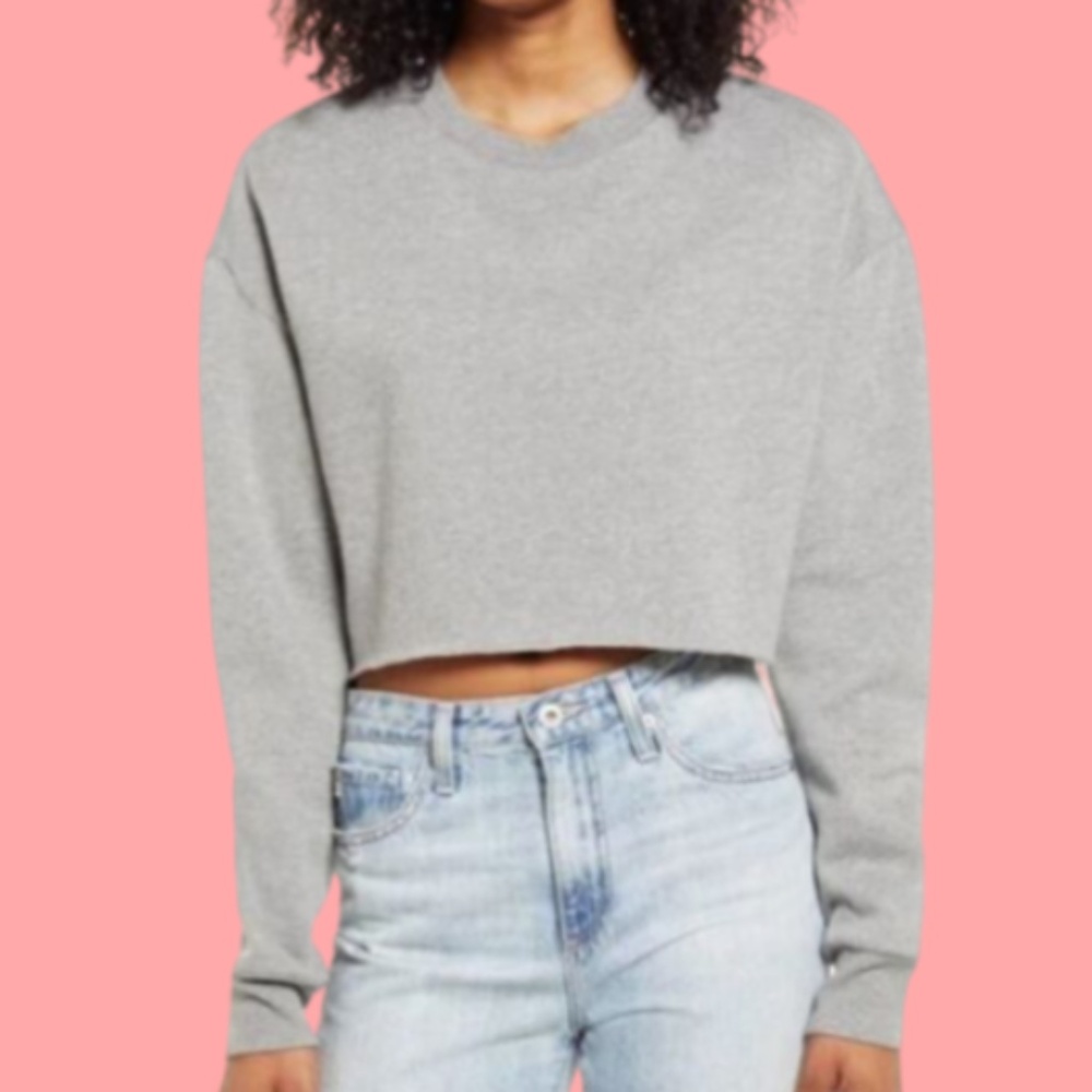 Pashmina Grey Cropped Sweatshirt